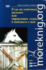 Езда на кончиках пальцев или управление лошадью в контакте с ней