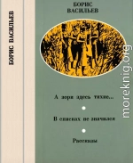 А зори здесь тихие… В списках не значился. Рассказы