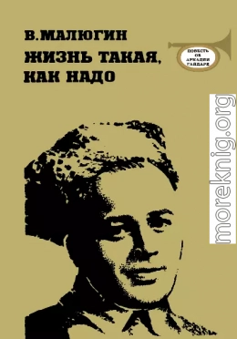 Жизнь такая, как надо: Повесть об Аркадии Гайдаре