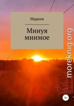 Минуя мнимое