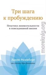 Три шага к пробуждению. Практика внимательности в повседневной жизни