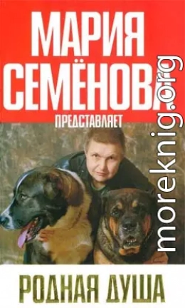 Идентификация