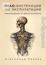 Тело: инструкция по эксплуатации. Рекомендации от врача-остеопата