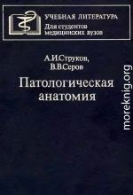 Патологическая анатомия