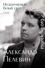 Нескончаемый белый свет