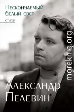 Нескончаемый белый свет