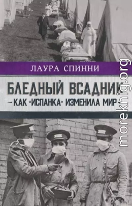 Бледный всадник: как «испанка» изменила мир