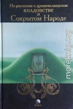 Из рассказов о древнеисландском колдовстве и Сокрытом Народе