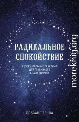 Радикальное спокойствие. Созерцательные практики для глубинного благополучия