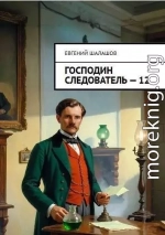 Господин следователь. Книга 12