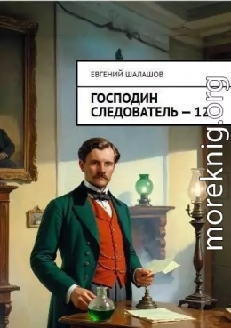 Господин следователь. Книга 12