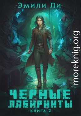 Черные лабиринты. Книга 2