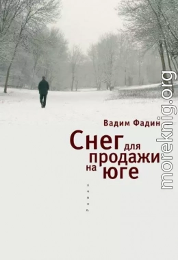 Снег для продажи на юге