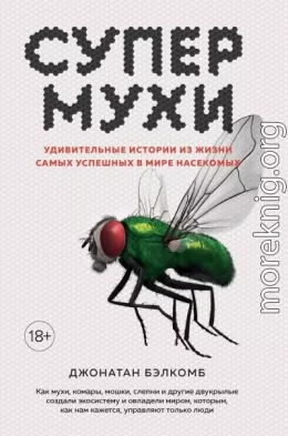 Супермухи. Удивительные истории из жизни самых успешных в мире насекомых