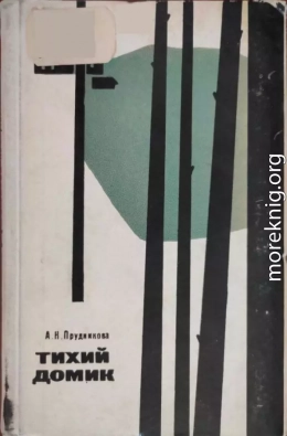 cкачать книгу Прудникова Александра Тихий домик