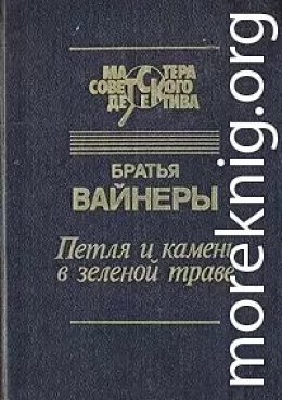 Петля и камень в зеленой траве