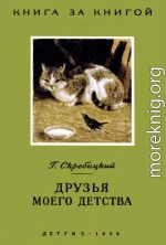 Друзья моего детства [авторский сборник]