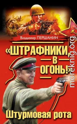 «Штрафники, в огонь!» Штурмовая рота (сборник)