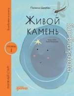 Живой камень