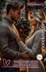 Сводный брат на Новый год