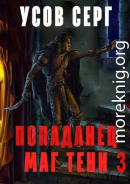 Попаданец. Маг Тени. Книга 3