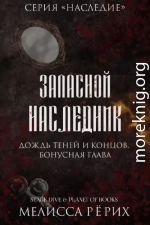 Дождь теней и концов. Бонусная глава