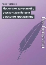 Несколько замечаний о русском хозяйстве и о русском крестьянине