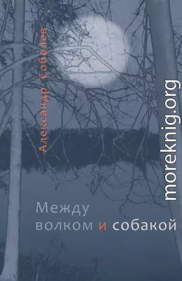 Между волком и собакой
