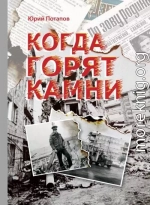 Когда горят камни. Сборник очерков и рецензий
