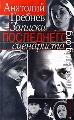 Записки последнего сценариста