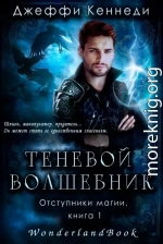 Теневой волшебник