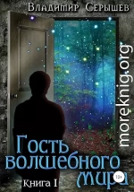 Гость волшебного мира. Книга 1: Незнакомец (СИ)