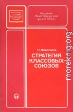 Стратегия классовых союзов