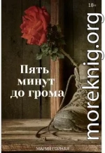 Пять минут до грома