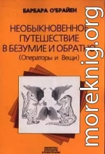 Необыкновенное путешествие в безумие и обратно (Операторы и Вещи)