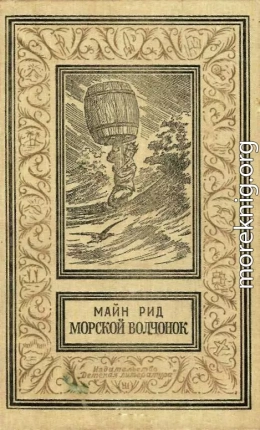 Морской волчонок