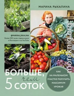 Больше, чем 5 соток. Как на маленьком участке получить максимум урожая