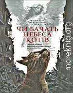Чи бачать небеса котів