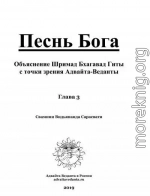 Бхагавад Гита. Глава третья. Комментарий Свамини Видьянанды Сарасвати