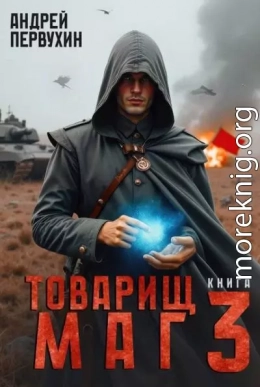 Товарищ маг. Книга 3