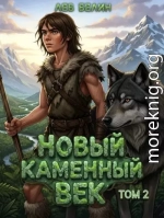 Новый каменный век. Том II