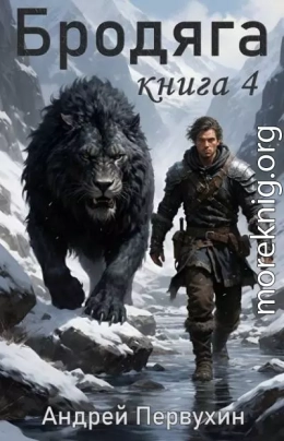 Бродяга. Том 4
