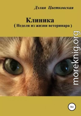 Клиника. Неделя из жизни ветеринара