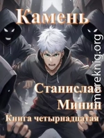 Камень. Книга 14