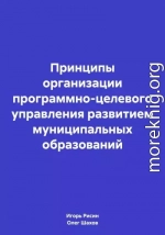 Принципы организации программно-целевого управления развитием муниципальных образований