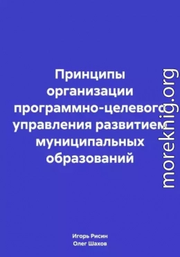 Принципы организации программно-целевого управления развитием муниципальных образований