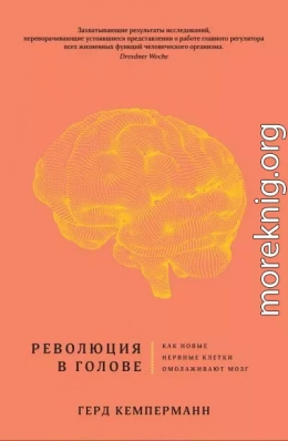 Революция в голове. Как новые нервные клетки омолаживают мозг