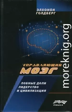 Управляющий мозг: Лобные доли, лидерство и цивилизация