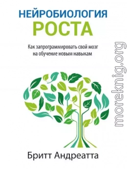 Нейробиология роста. Как запрограммировать свой мозг на обучение новым навыкам