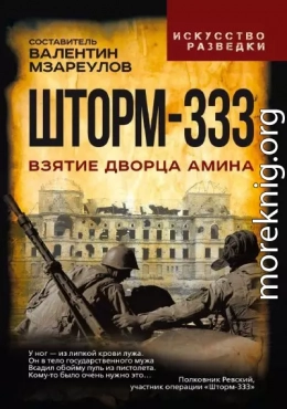 Шторм-333. Взятие дворца Амина